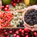 El poder de los antioxidantes: mejora su salud y bienestar